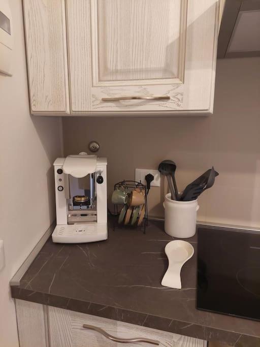 Il Nido Sull'Arno Apartment Figline Valdarno Ngoại thất bức ảnh